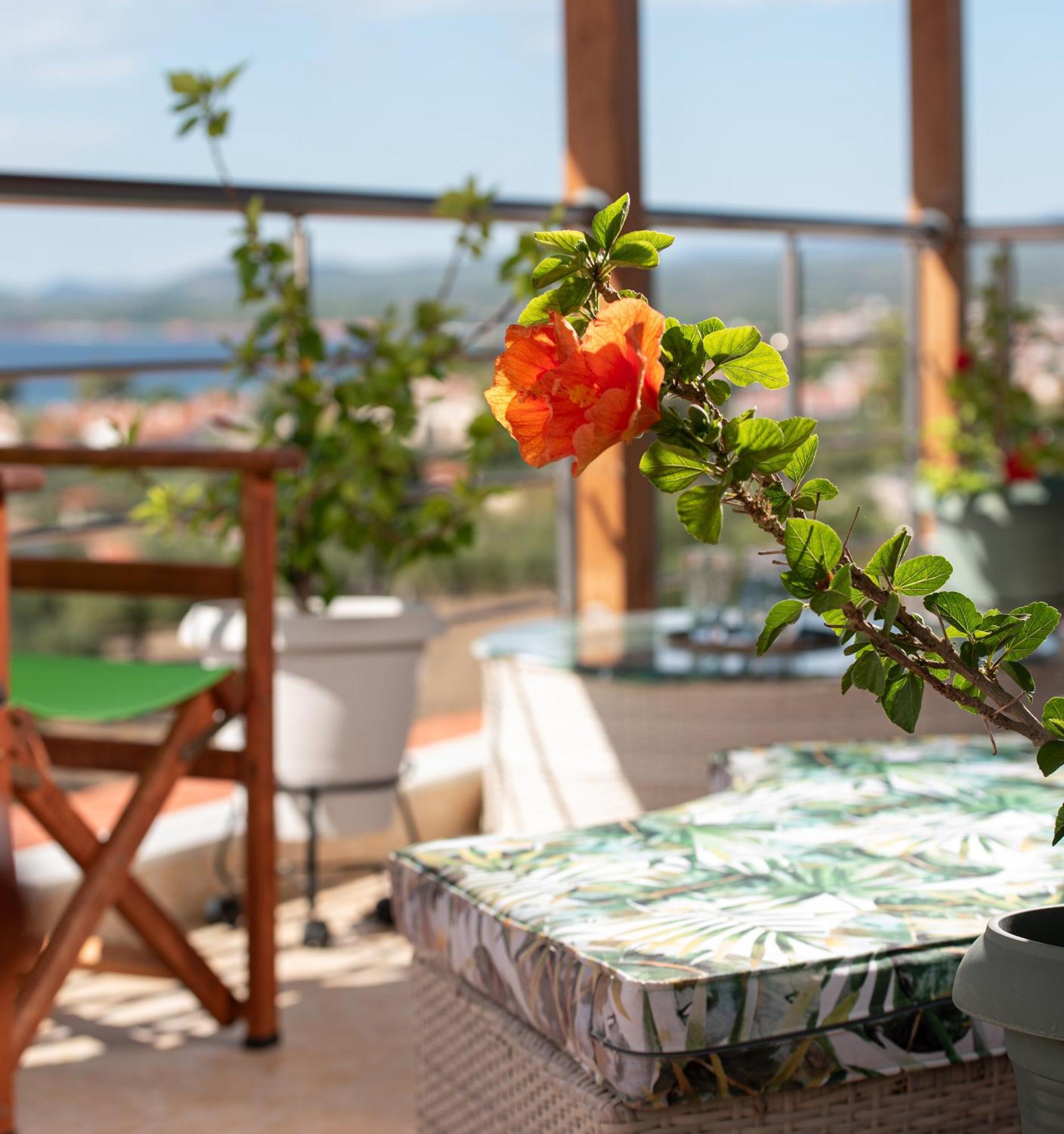 Luxury Apartment Nikiti  Dış mekan fotoğraf
